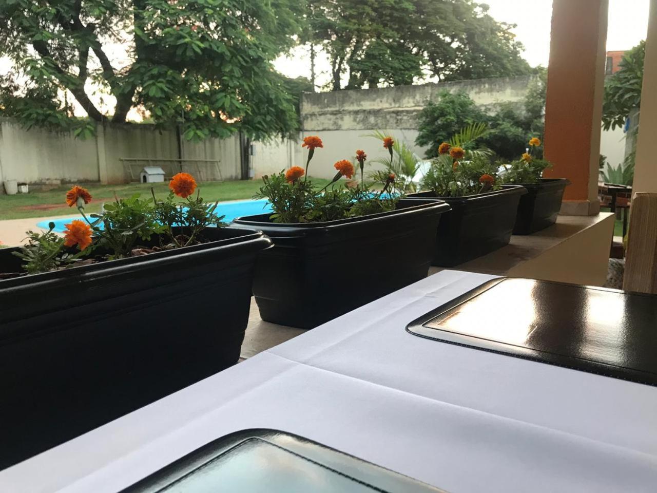 Casa de hóspedes Colibri *